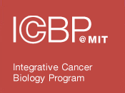 ICBP logo